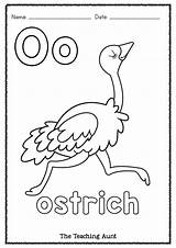 Ostrich Worksheets Aunt Alphabet Theteachingaunt Pages sketch template