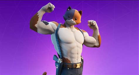 Fortnite Fans Are Cosplaying As Meowscles Using Real Cats Slashgear