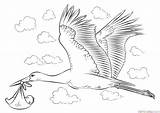 Baby Stork Draw Coloring Pages Drawing Storks Step Printable Tutorials Coloringpagesonly Sketch Tutorial Print Popular Template Boy sketch template