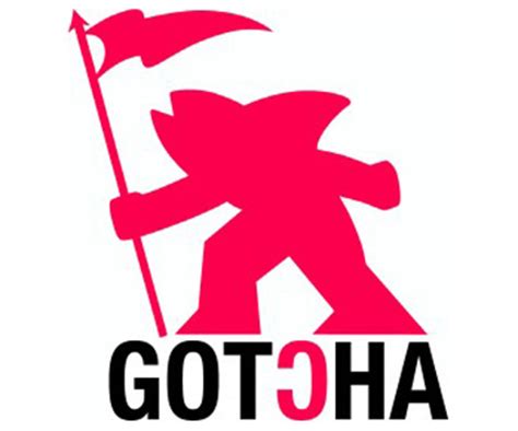 gotcha  founder michael tomson arrested  laguna  inertia