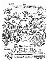 Aquarium Ripley Coloringtop Myrtle sketch template