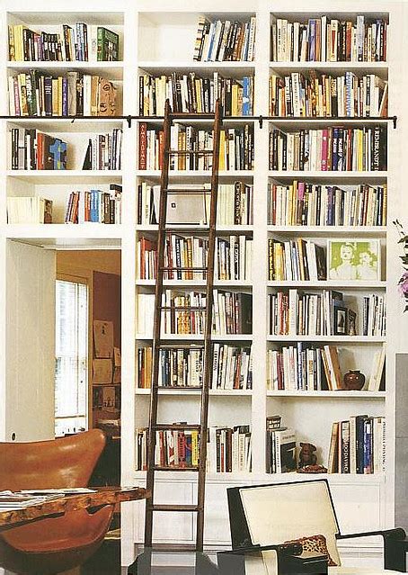 david dangerous bookshelves