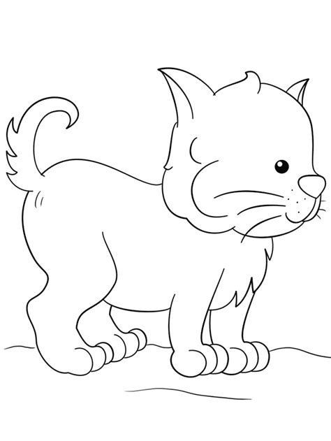 cute kitten coloring page  printable coloring pages  kids