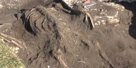 mysterious massacre frozen  time  swedish pompeii site video huffpost