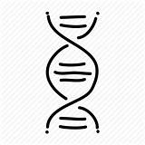 Dna Helix Double Drawing Sketch Genetics Medical Hospital Health Icon Paintingvalley sketch template
