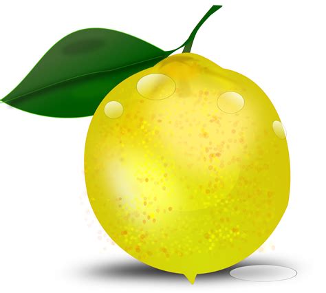 lemons clipart clip art lemons clip art transparent