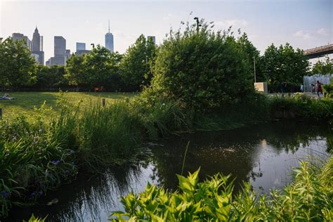 urban habitat biodiversity   cities video nature works
