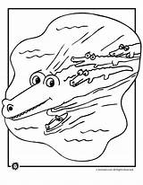 Coloring Alligator Pages Crocodiles Alligators Crocodile Printable Animals Print Kids Baby Drawing Color Library Clipart Popular sketch template