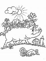 Pig Coloring Pages Potbellied Color Animals sketch template