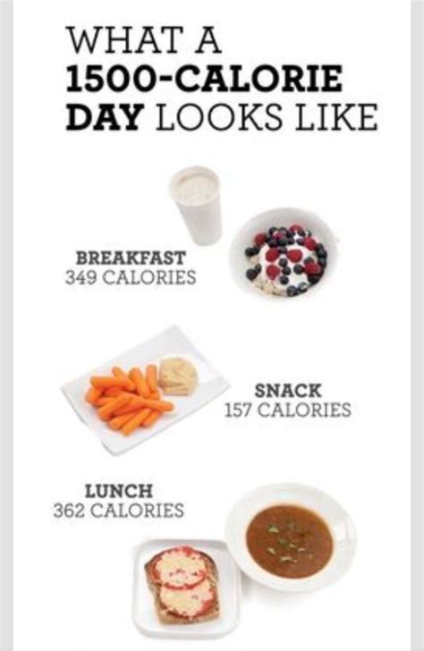 what 1500 calorie daily intake looks like trusper
