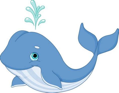contoh sketsa gambar ikan kartun  paus anidraw