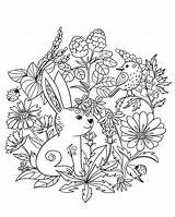 Coloring Rabbit Pages Forest Animals Bird Book Printable Bunny Rabbits Flowers Kids Brilliant Dot Drawing Carrot Birijus Books Categories sketch template