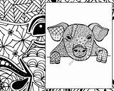 Pig Sheet Zentangle Colouring Intricate sketch template