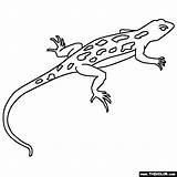 Lizard Coloring Pages Printable Color Pets Lizards Animal Kids Online Animals Books Thecolor Book Clip Print Search Choose Board Printcolorcraft sketch template