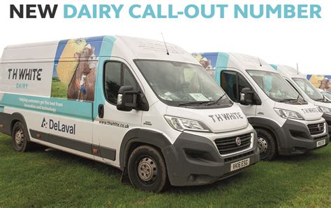 dairy call  number   white group