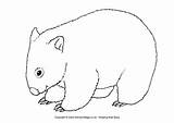 Wombat Colouring Pages Australian Animal Coloring Animals Australia Wombats Coloriage Outline Days Colour Patterns Crafts Xmas Aussie Possum Embroidery Quilt sketch template