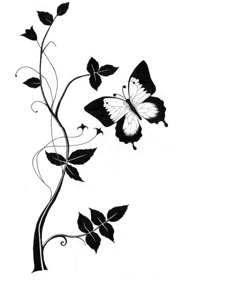 drawing butterfly sketches wallpapers cute birds clipart