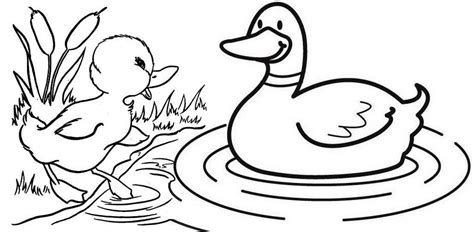 duck  baby coloring page  kids baby coloring pages mandala