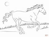 Coloring Horse Pages Mustang Beautiful Printable Supercoloring Games sketch template