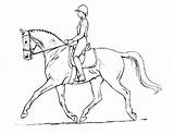 Paard Ruiter Dressage Heste Paarden Tegninger Rytter Dieren Caballos Kleurplaten Meisje Perspectiva Getdrawings sketch template