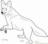 Coyote Coloring Running Pages Drawing Easy Coloringpages101 Getdrawings sketch template