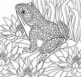 Paradise Coloring Pages Tropical Color Getcolorings Printable Adult Getdrawings sketch template