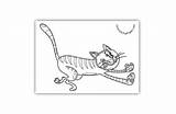 Coloring Tomcat Running Cat Pages sketch template