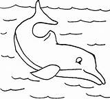 Coloring Pages Printable Dolphin Dolphins Kids Animal Backgrounds Nowadays Advise sketch template