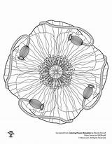Mandala Coloring Adult Flower Poppy Mandalas Pages sketch template