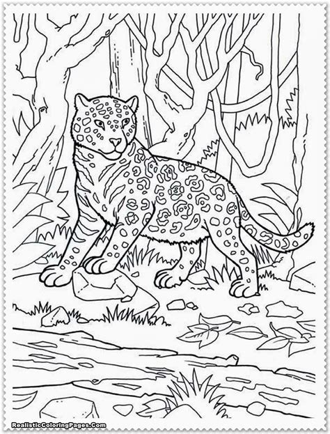 realistic coloring pages  horses realistic coloring pages thebooks
