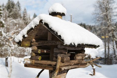 wooden bird house  winter  snow photograph  matthias hauser