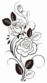 Clipart Flower Roses Drawing Rose Flowers Vine Tattoo Vines Mermaid Cloud Floral Choose Board sketch template
