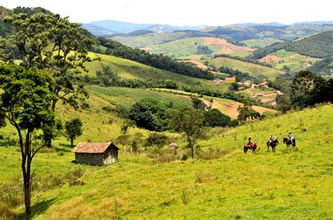 donizeti  rancho fundo  lembrar da roca