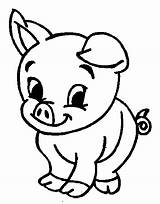 Coloring Pig Animal Pages Cute Printable Kids Baby Sheets Animals Drawing sketch template