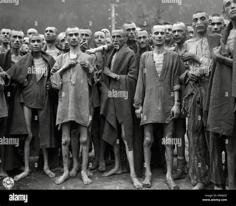 Nazi Concentration Camps Survivors Fotos Und Bildmaterial In Hoher