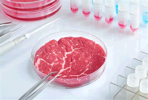 lab grown meat vegan