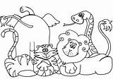 Coloring Pages Animals Safari Animal African Printable Color Cartoon Jungle Getcoloringpages Baby sketch template