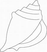 Seashell Shells Muschel Seashells Vorlagen Muscheln Conch Malen Southwestdanceacademy Ideen sketch template