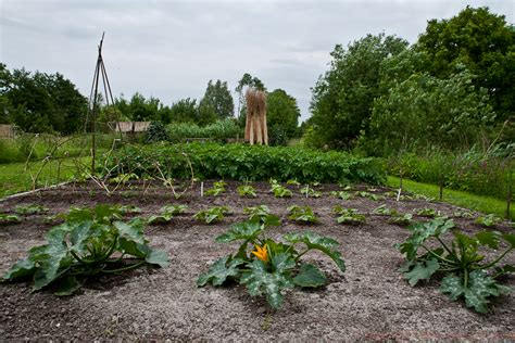 buiten wonen moestuinieren  juni