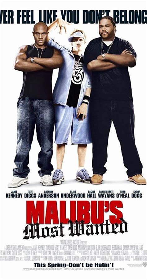 Pictures And Photos From Malibu S Most Wanted 2003 Imdb