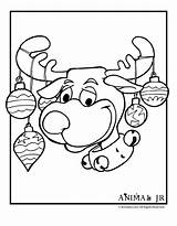 Reindeer Rentier Ausmalbild Ausmalbilder sketch template