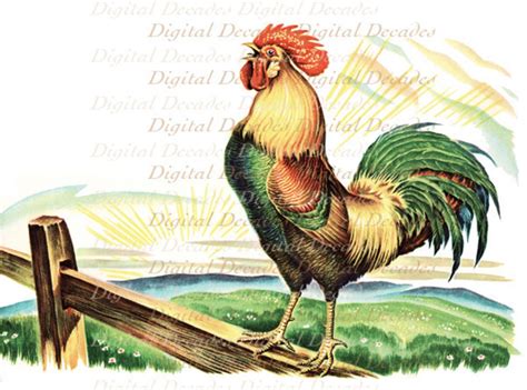 Rooster Crowing Cock A Doodle Doo Country Morning Chicken Etsy