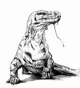 Komodo Sketsa Comodo Reptiles Lukisan Kanvas Superhero Indominus Rex Jurassic sketch template