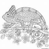 Cameleon Chameleon Imprimer Animaux Adulte sketch template