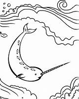 Narwhal Coloring Pages sketch template
