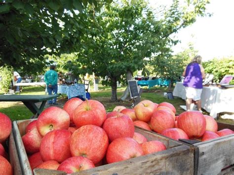 Johnson Orchards Yakima Wa A State Known For Apples This Place Is