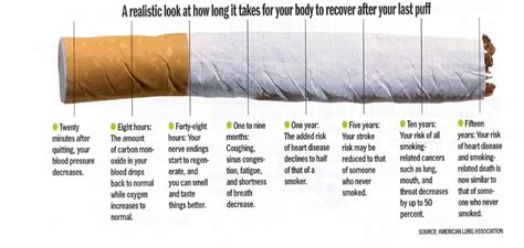 This Is What Happens To Your Body When You Quit Smoking Unique Facts