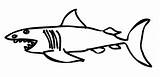 Shark Coloring Drawing Pages Clipart Lemon Template Kids Printable Sharks Cliparts Clip Print Angry Alaska Stories Library Nels Sad Etk sketch template