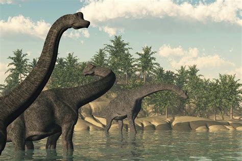 humans     time  dinosaurs britannica