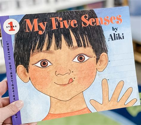 ultimate list   senses books  preschoolers